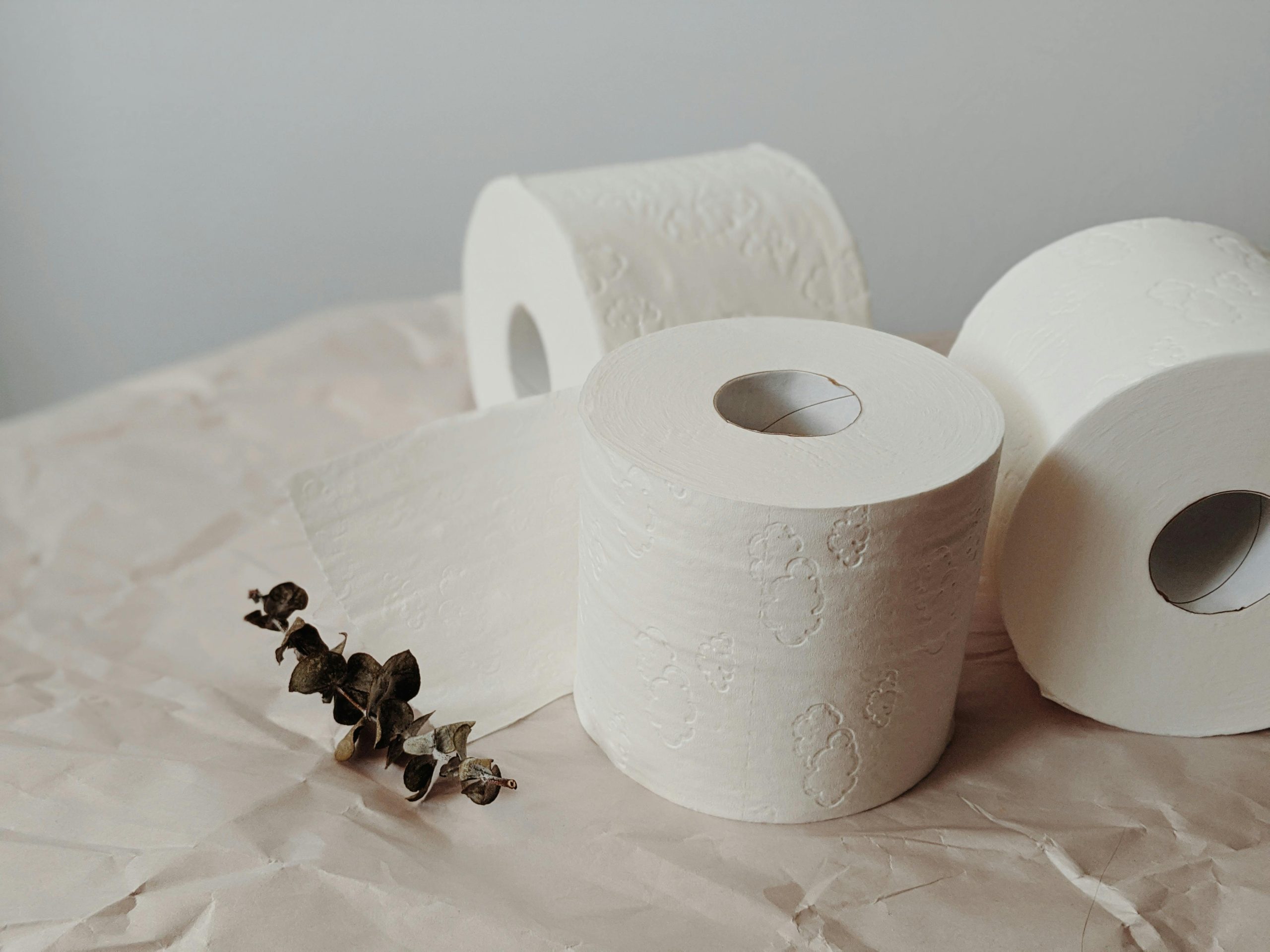 Three toilet paper rolls on craft paper with eucalyptus, showcasing minimalist home essentials.